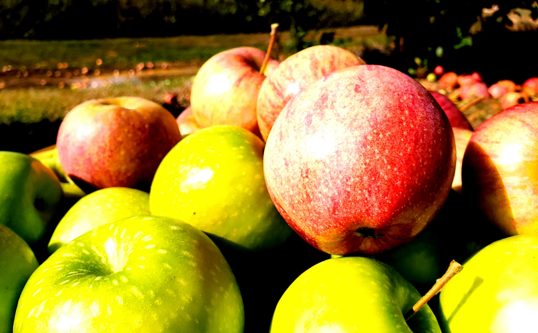 Appeltjes voor de dorst